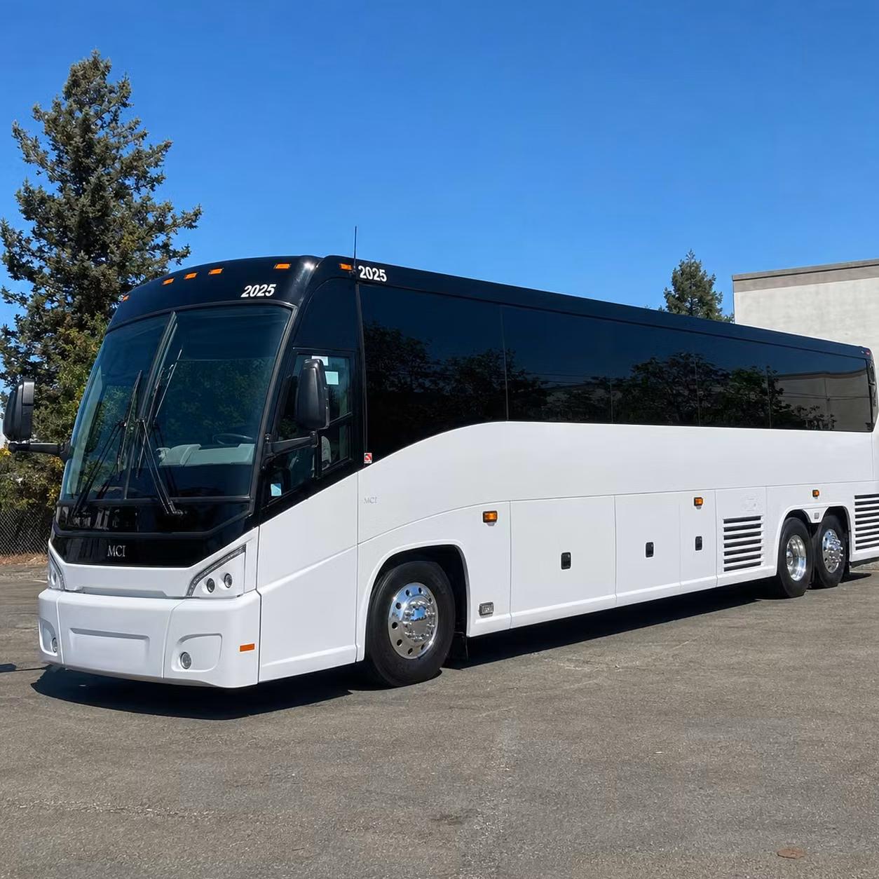 56 passenger charter bus